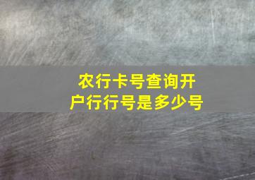 农行卡号查询开户行行号是多少号