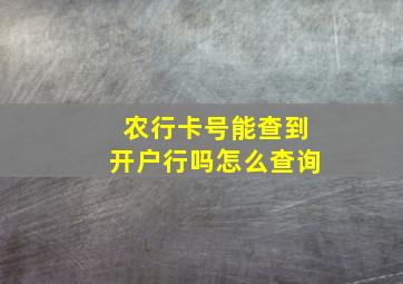 农行卡号能查到开户行吗怎么查询