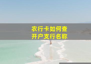 农行卡如何查开户支行名称