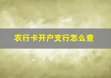 农行卡开户支行怎么查