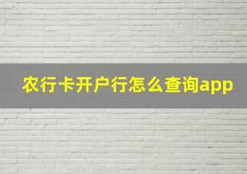 农行卡开户行怎么查询app