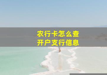 农行卡怎么查开户支行信息