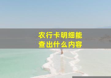 农行卡明细能查出什么内容