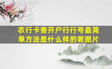 农行卡查开户行行号最简单方法是什么样的呢图片