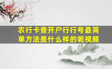 农行卡查开户行行号最简单方法是什么样的呢视频