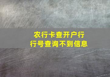 农行卡查开户行行号查询不到信息