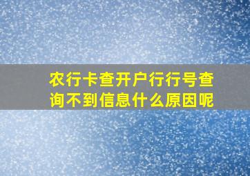 农行卡查开户行行号查询不到信息什么原因呢