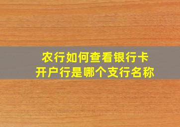 农行如何查看银行卡开户行是哪个支行名称