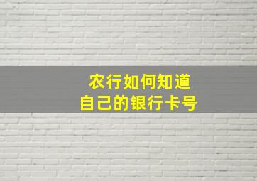 农行如何知道自己的银行卡号