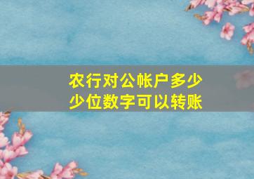 农行对公帐户多少少位数字可以转账