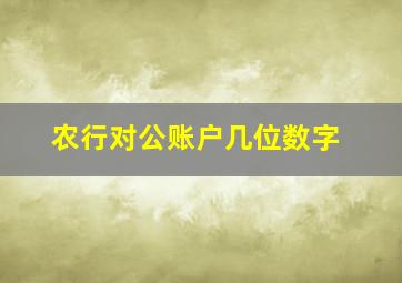 农行对公账户几位数字