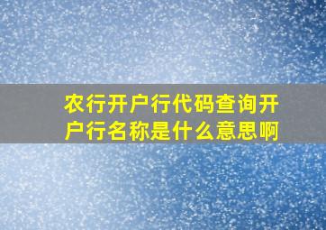 农行开户行代码查询开户行名称是什么意思啊