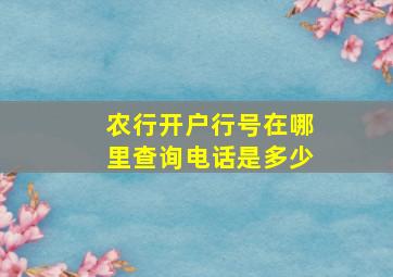 农行开户行号在哪里查询电话是多少