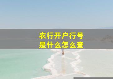 农行开户行号是什么怎么查