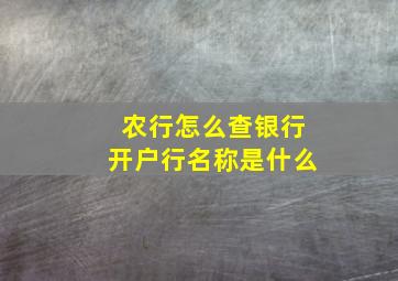 农行怎么查银行开户行名称是什么