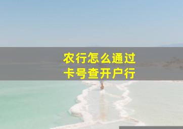 农行怎么通过卡号查开户行