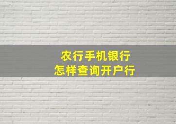 农行手机银行怎样查询开户行