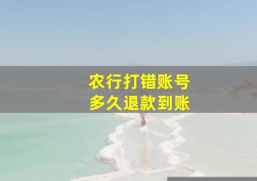 农行打错账号多久退款到账