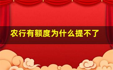 农行有额度为什么提不了