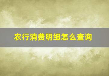 农行消费明细怎么查询