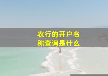 农行的开户名称查询是什么