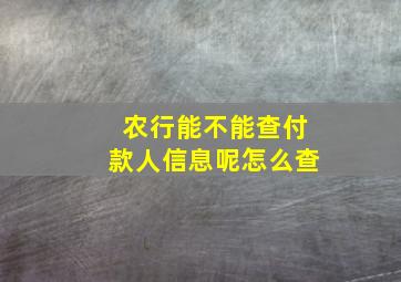 农行能不能查付款人信息呢怎么查