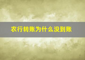 农行转账为什么没到账