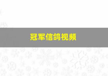 冠军信鸽视频