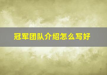 冠军团队介绍怎么写好