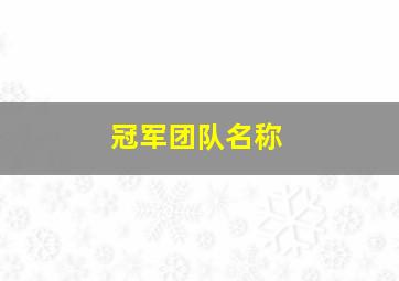 冠军团队名称