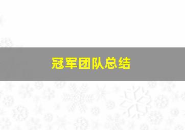 冠军团队总结