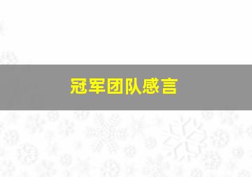 冠军团队感言