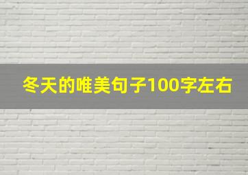 冬天的唯美句子100字左右