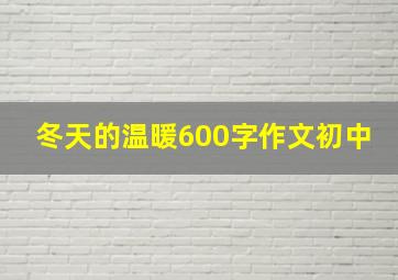 冬天的温暖600字作文初中