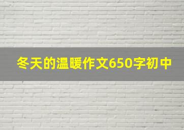 冬天的温暖作文650字初中