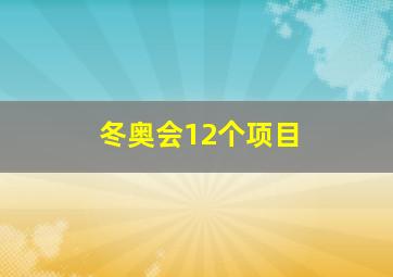 冬奥会12个项目