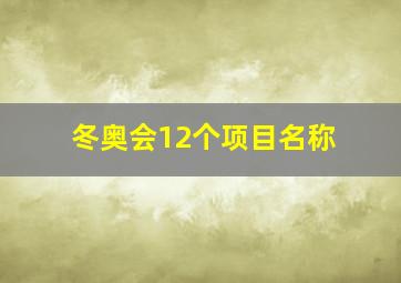 冬奥会12个项目名称