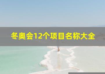 冬奥会12个项目名称大全