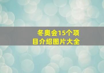 冬奥会15个项目介绍图片大全