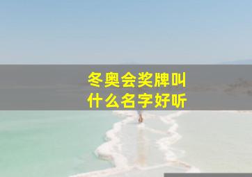 冬奥会奖牌叫什么名字好听