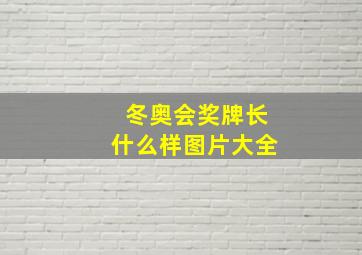 冬奥会奖牌长什么样图片大全