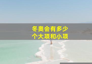 冬奥会有多少个大项和小项