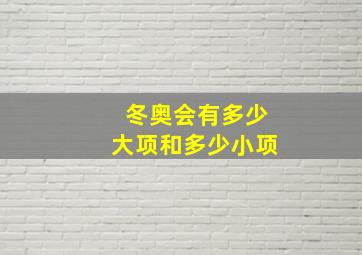 冬奥会有多少大项和多少小项