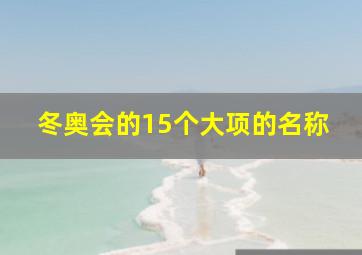 冬奥会的15个大项的名称