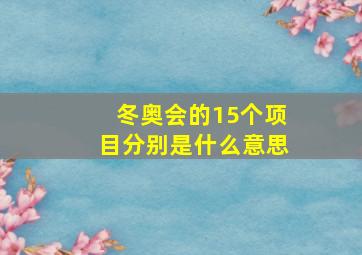 冬奥会的15个项目分别是什么意思