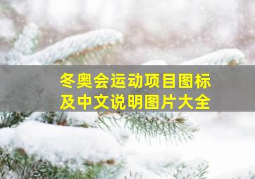 冬奥会运动项目图标及中文说明图片大全