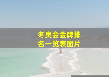 冬奥会金牌排名一览表图片