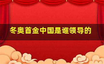 冬奥首金中国是谁领导的