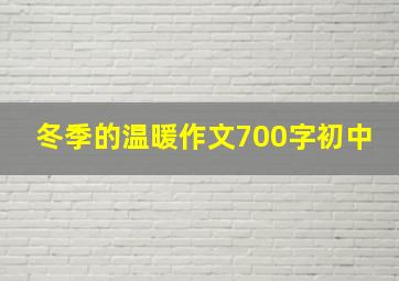 冬季的温暖作文700字初中