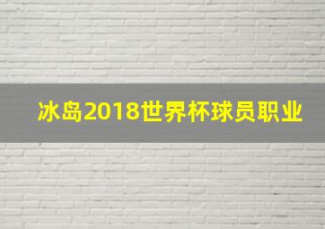 冰岛2018世界杯球员职业